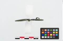 Foto von Bronzebrillenfibel (NHMW-PRAE-024976)